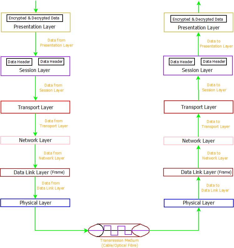 This image describes the architecture and working of presentation layer in computer networks.